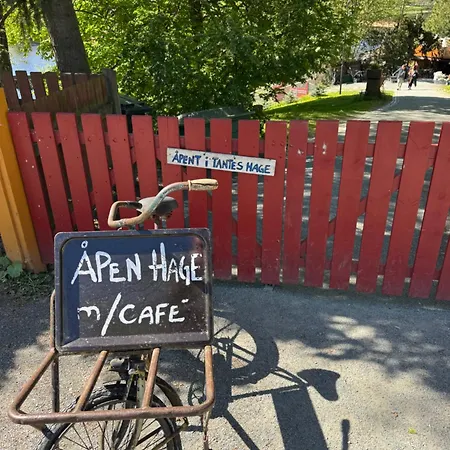 Small Studio In The City Center 3 Min From The Square Trondheim Exterior photo